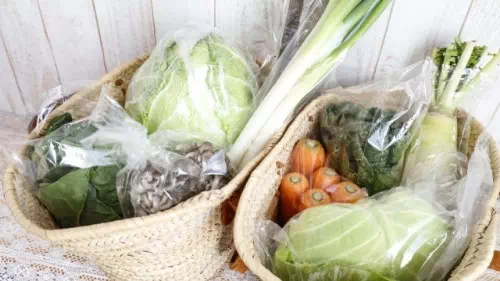 様々な野菜が入ったバッグ